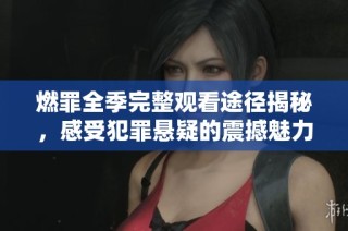 燃罪全季完整观看途径揭秘，感受犯罪悬疑的震撼魅力
