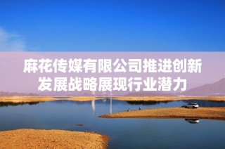 麻花传媒有限公司推进创新发展战略展现行业潜力