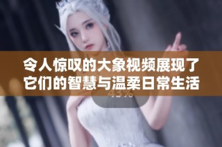 令人惊叹的大象视频展现了它们的智慧与温柔日常生活