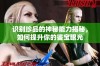 识别珍品的神秘能力揭秘，如何提升你的鉴宝眼光
