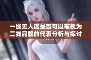 一线无人区是否可以被视为二线品牌的代表分析与探讨