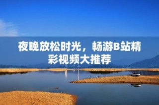 夜晚放松时光，畅游B站精彩视频大推荐