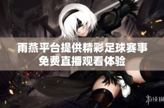 雨燕平台提供精彩足球赛事免费直播观看体验