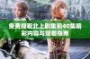 免费观看北上剧集前40集精彩内容与观看指南