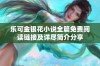 乐可金银花小说全篇免费阅读链接及详尽简介分享