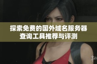 探索免费的国外域名服务器查询工具推荐与评测