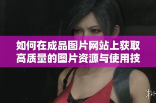 如何在成品图片网站上获取高质量的图片资源与使用技巧
