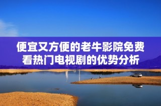 便宜又方便的老牛影院免费看热门电视剧的优势分析