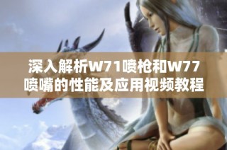 深入解析W71喷枪和W77喷嘴的性能及应用视频教程