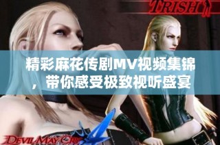 精彩麻花传剧MV视频集锦，带你感受极致视听盛宴