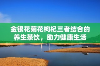 金银花菊花枸杞三者结合的养生茶饮，助力健康生活