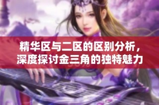 精华区与二区的区别分析，深度探讨金三角的独特魅力与特点