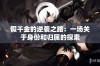 假千金的逆袭之路：一场关于身份和归属的探索