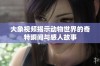 大象视频揭示动物世界的奇特瞬间与感人故事