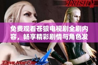 免费观看苍狼电视剧全剧内容，畅享精彩剧情与角色发展