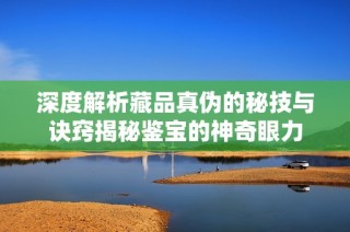 深度解析藏品真伪的秘技与诀窍揭秘鉴宝的神奇眼力