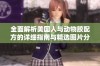 全面解析美国人与动物胶配方的详细指南与精选图片分享