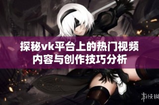 探秘vk平台上的热门视频内容与创作技巧分析