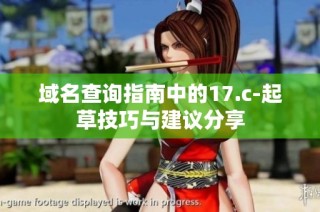 域名查询指南中的17.c-起草技巧与建议分享
