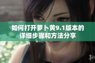 如何打开萝卜黄9.1版本的详细步骤和方法分享