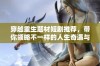 穿越重生题材短剧推荐，带你领略不一样的人生奇遇与感悟