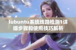 lubuntu系统线路检测1详细步骤和使用技巧解析