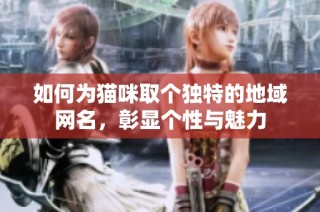 如何为猫咪取个独特的地域网名，彰显个性与魅力