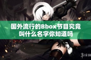 国外流行的Bbox节目究竟叫什么名字你知道吗