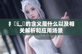 扌喿辶畐的含义是什么以及相关解析和应用场景