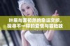 叶辰与萧初然的命运交织，探寻不一样的爱情与冒险故事