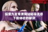 探索九玄免费网站畅享无尽下载体验的秘诀