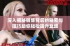深入揭秘销售背后的秘密与技巧助你轻松提升业绩