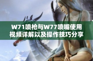 W71喷枪与W77喷嘴使用视频详解以及操作技巧分享