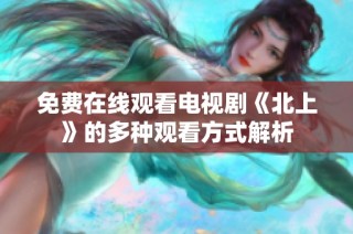 免费在线观看电视剧《北上》的多种观看方式解析