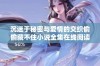 沉迷于秘密与爱情的交织偷偷藏不住小说全集在线阅读体验