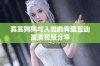 真实狗狗与人类的有趣互动高清视频分享