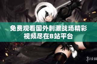 免费观看国外刺激战场精彩视频尽在B站平台