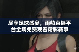 尽享足球盛宴，雨燕直播平台全场免费观看精彩赛事