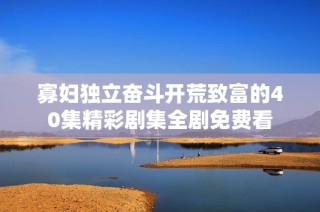 寡妇独立奋斗开荒致富的40集精彩剧集全剧免费看