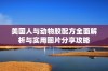 美国人与动物胶配方全面解析与实用图片分享攻略