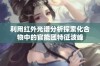 利用红外光谱分析探索化合物中的官能团特征波峰