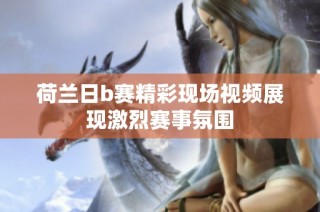 荷兰日b赛精彩现场视频展现激烈赛事氛围