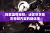 探索蓝莓视频：让你尽享精彩视频内容的新选择