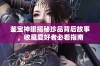 鉴宝神眼揭秘珍品背后故事，收藏爱好者必看指南