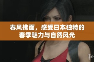 春风拂面，感受日本独特的春季魅力与自然风光