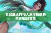 真实展现狗与人深厚情感的精彩视频合集