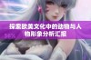探索欧美文化中的动物与人物形象分析汇报