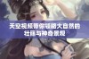 天空视频带你领略大自然的壮丽与神奇景观
