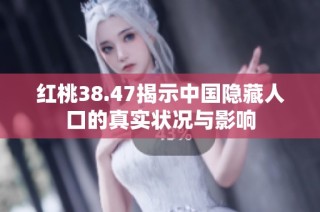 红桃38.47揭示中国隐藏人口的真实状况与影响