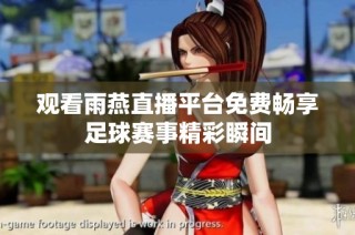 观看雨燕直播平台免费畅享足球赛事精彩瞬间
